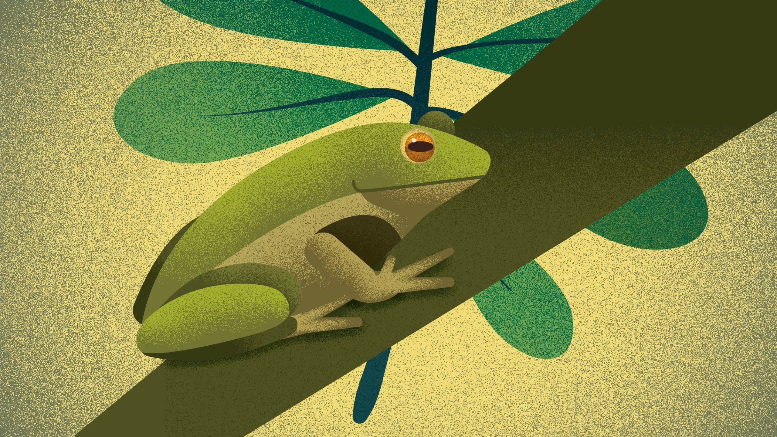 Weinetikett-Design mit Frosch-Illustration („Growling Frog") von Manu de Assis